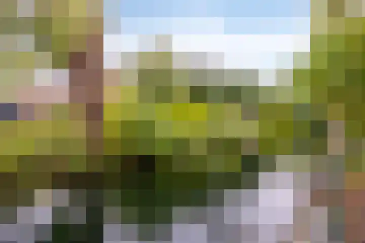 Kampanje 39 Rozenburg thumbnail 28