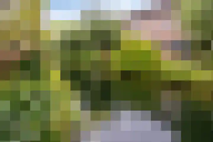 Kampanje 39 Rozenburg thumbnail 29