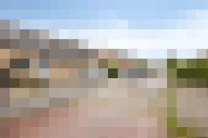 Kampanje 39 Rozenburg thumbnail 30