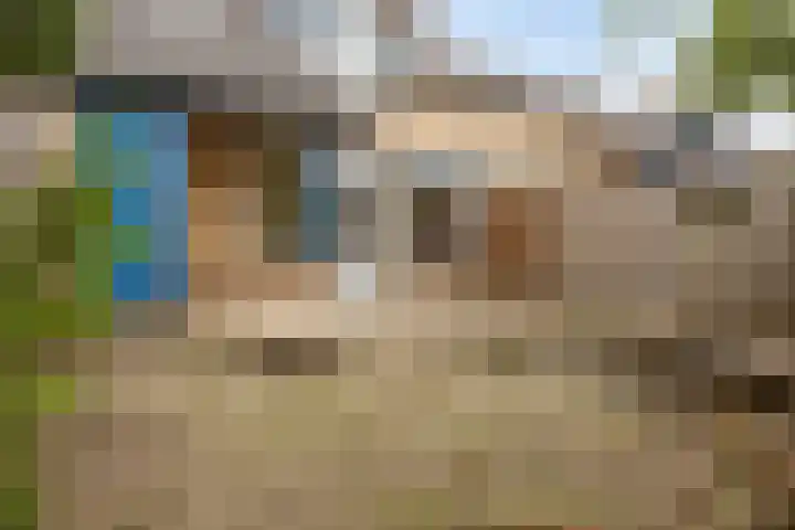 Kampanje 39 Rozenburg thumbnail 5
