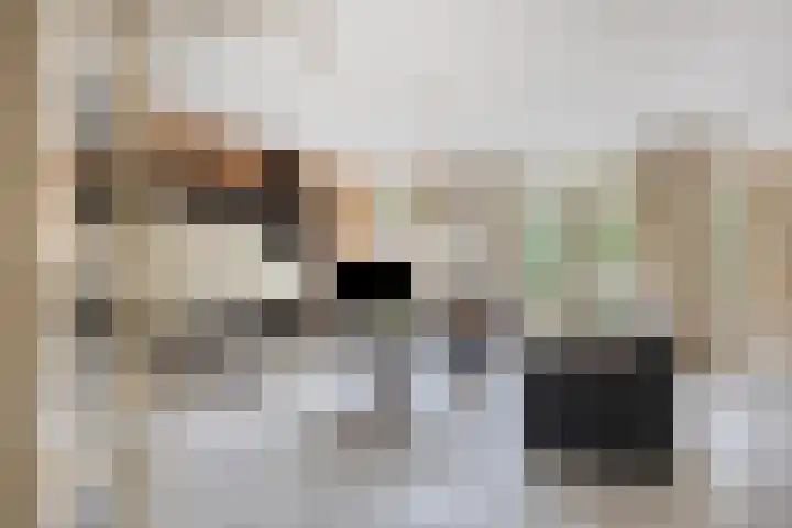 Kampanje 39 Rozenburg thumbnail 9