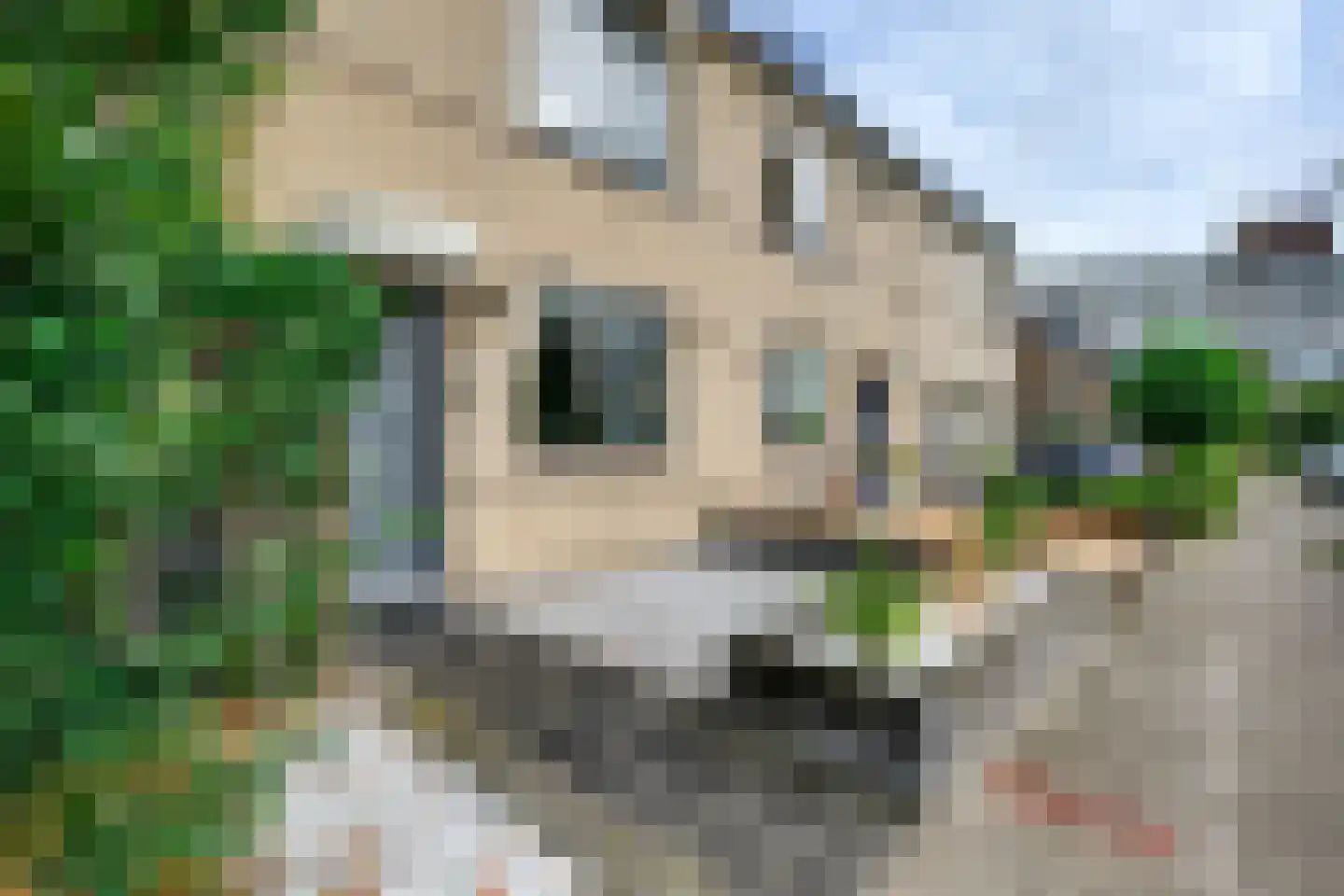 Kampanje 5 Rozenburg thumbnail 13