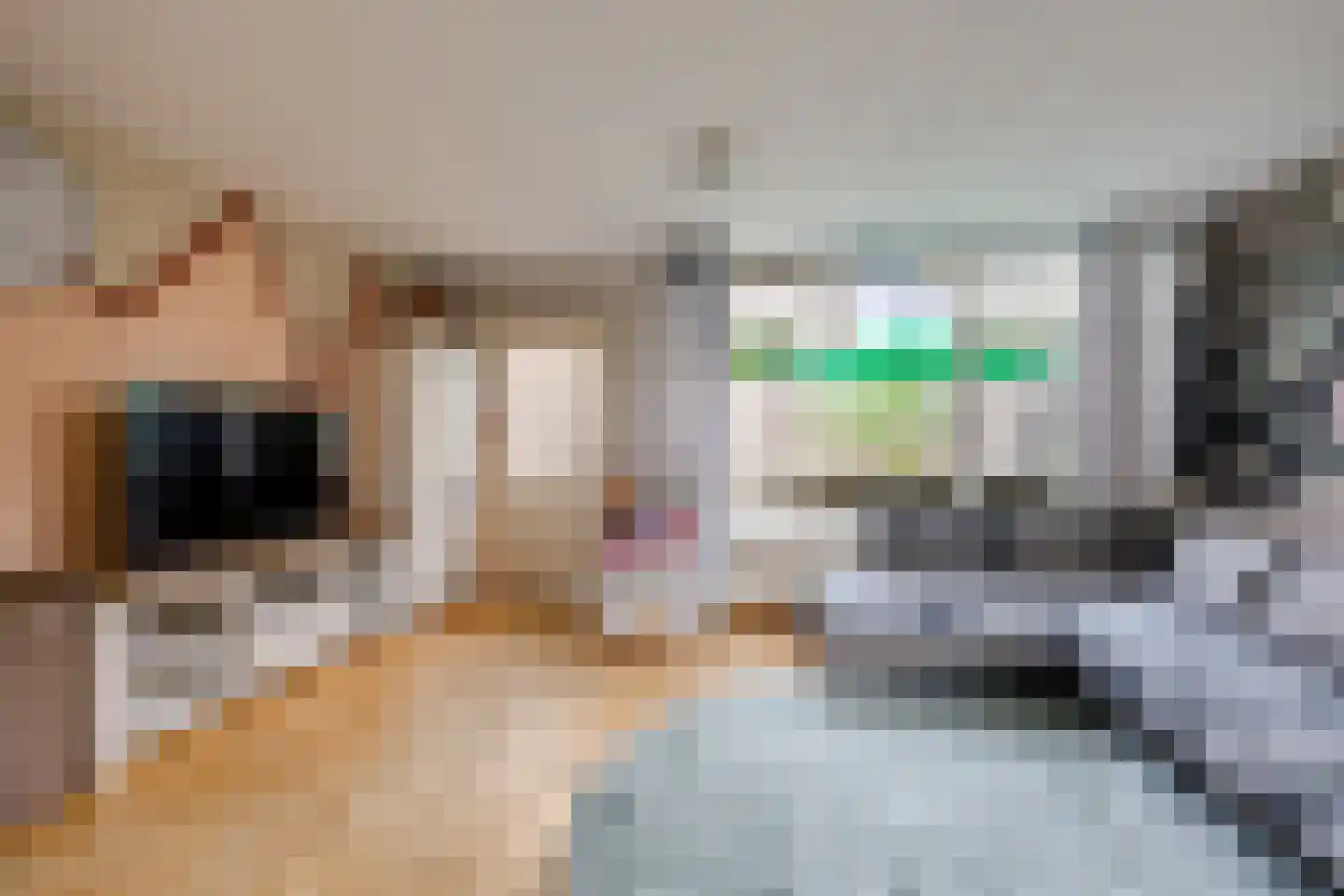 Kampanje 5 Rozenburg thumbnail 17