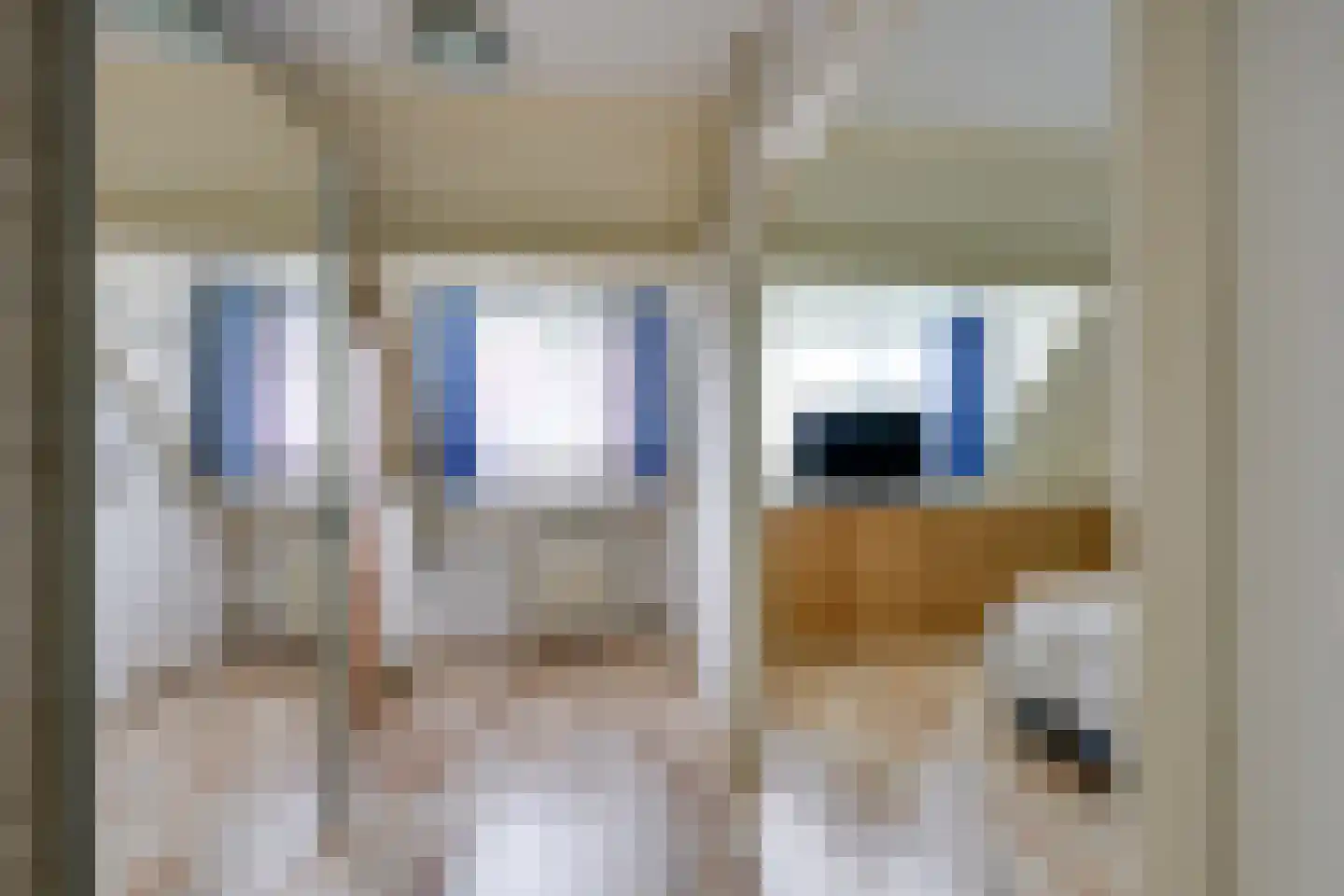 Kampanje 5 Rozenburg thumbnail 33
