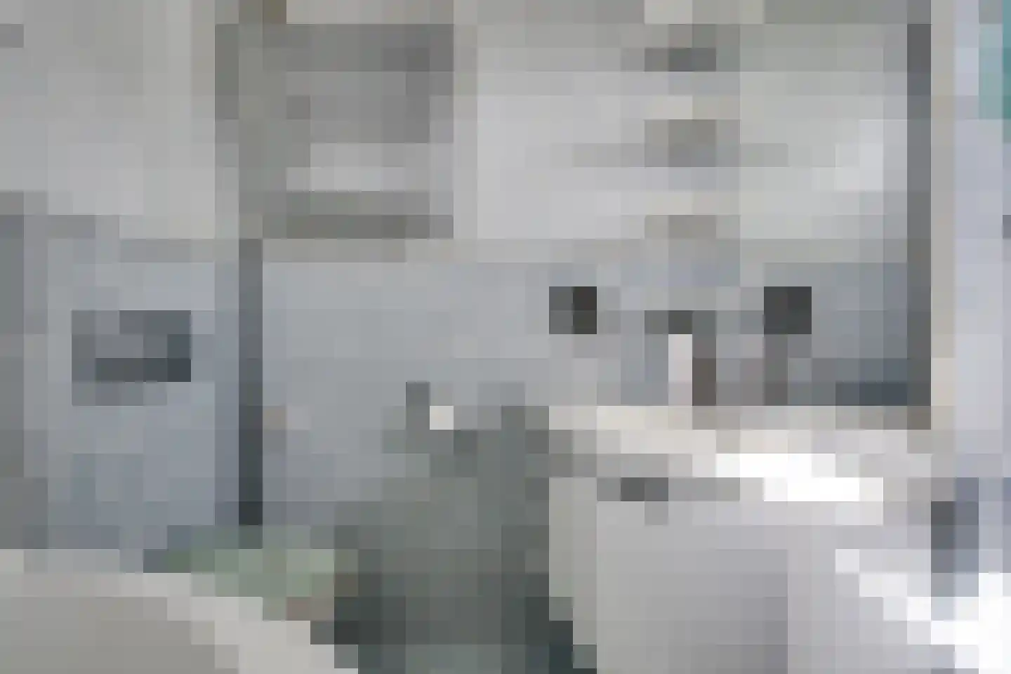 Kampanje 5 Rozenburg thumbnail 42