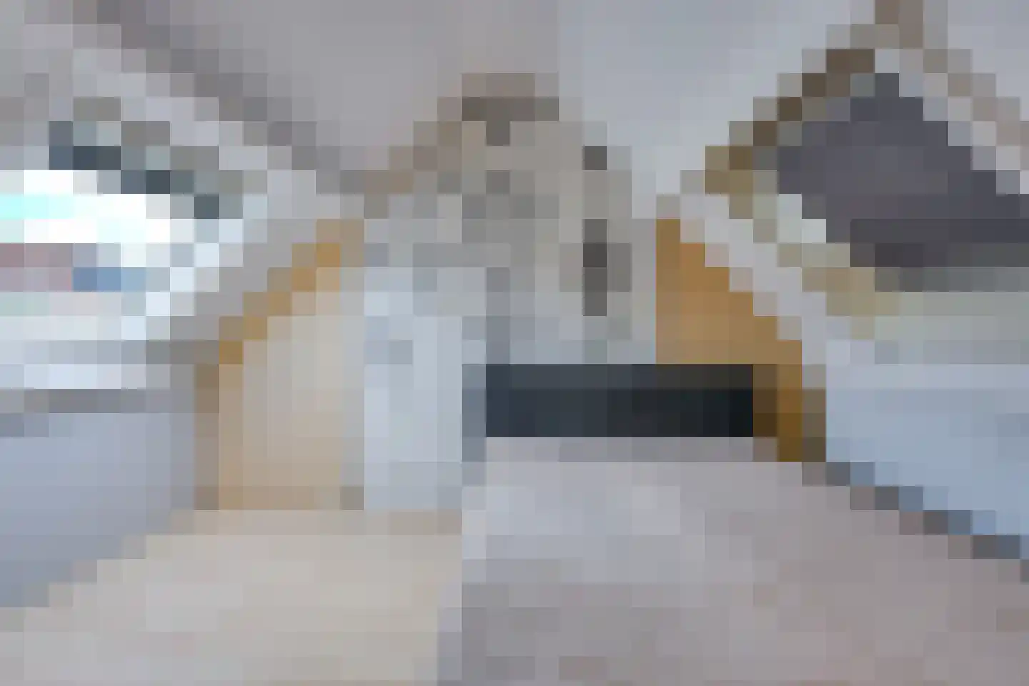 Kampanje 5 Rozenburg thumbnail 45