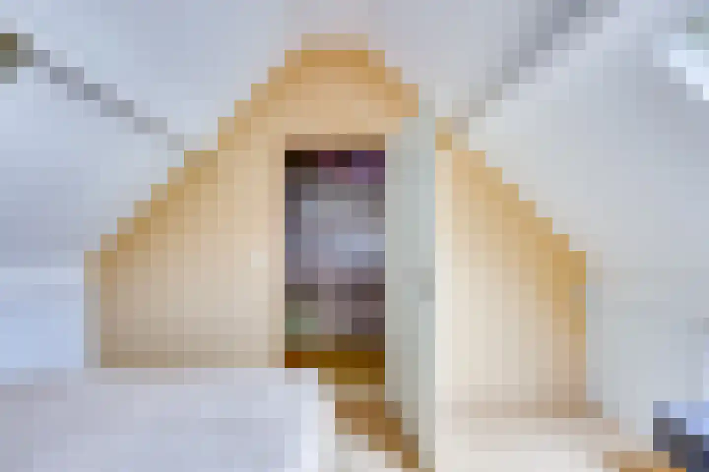 Kampanje 5 Rozenburg thumbnail 48