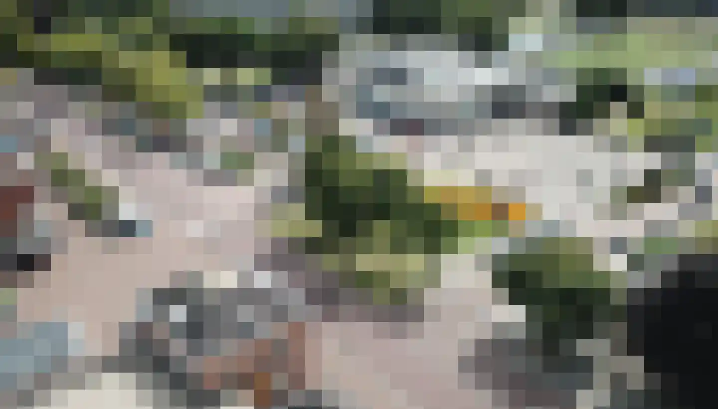 Kampanje 5 Rozenburg thumbnail 49