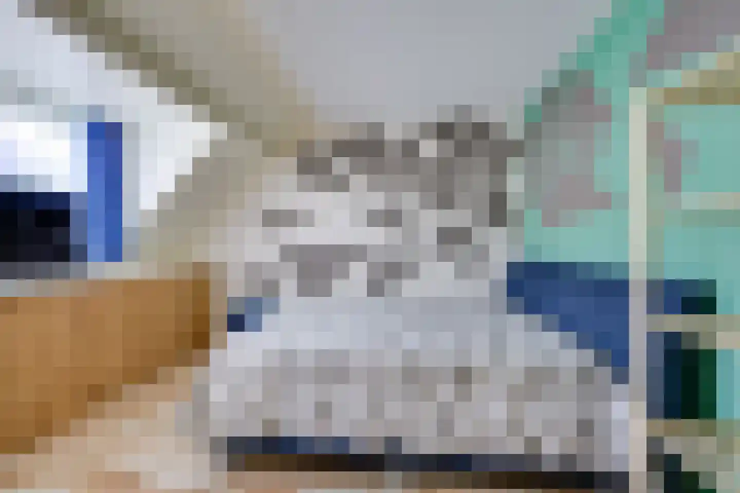 Kampanje 5 Rozenburg thumbnail 6