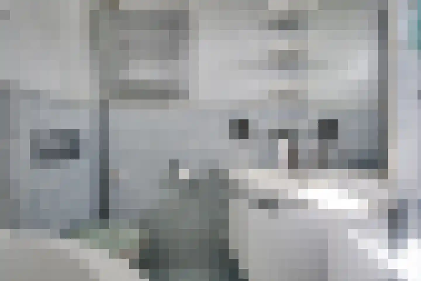 Kampanje 5 Rozenburg thumbnail 7