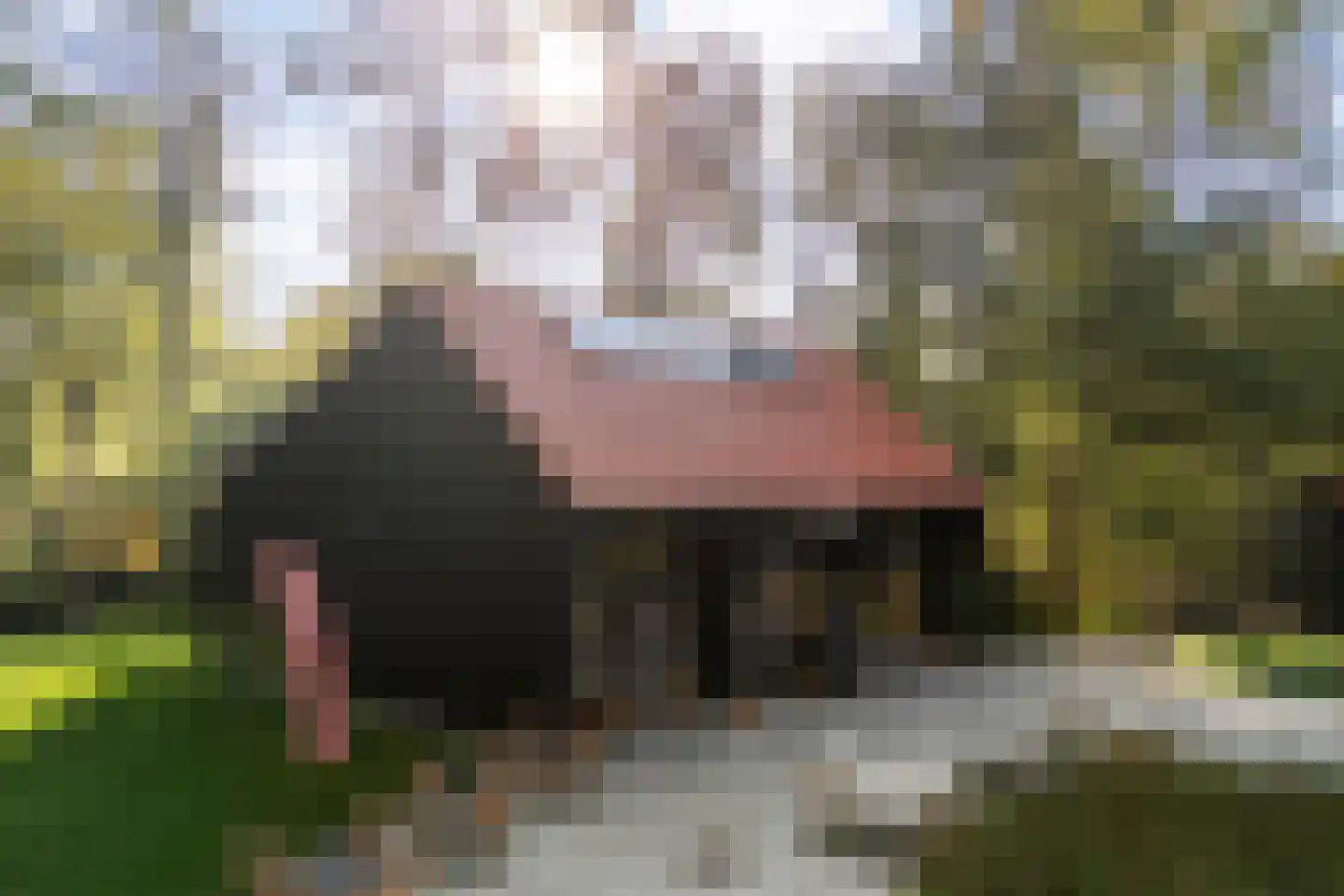 Kampbrugweg 3 16 Beuningen thumbnail 17