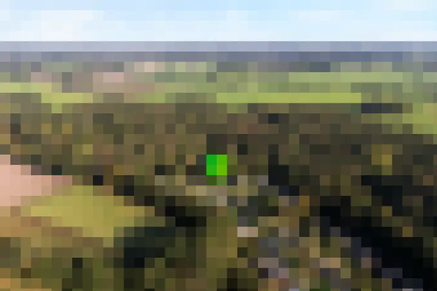 Kampbrugweg 3 16 Beuningen thumbnail 18