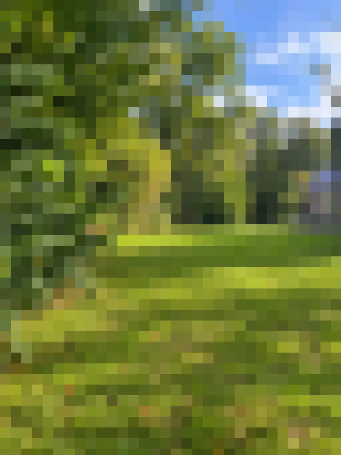 Kampbrugweg 3 16 Beuningen thumbnail 24