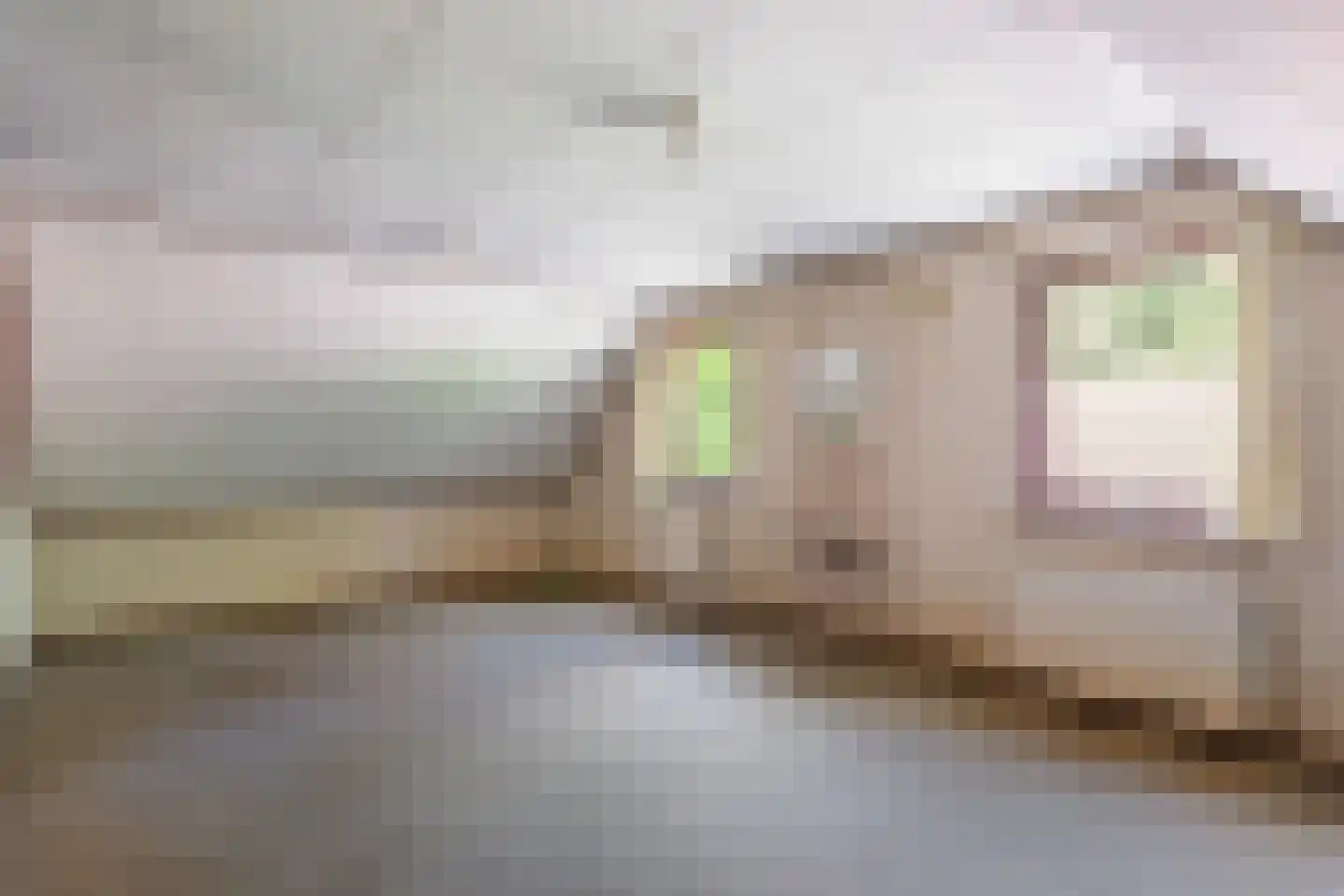 Kampbrugweg 5 Beuningen thumbnail 14