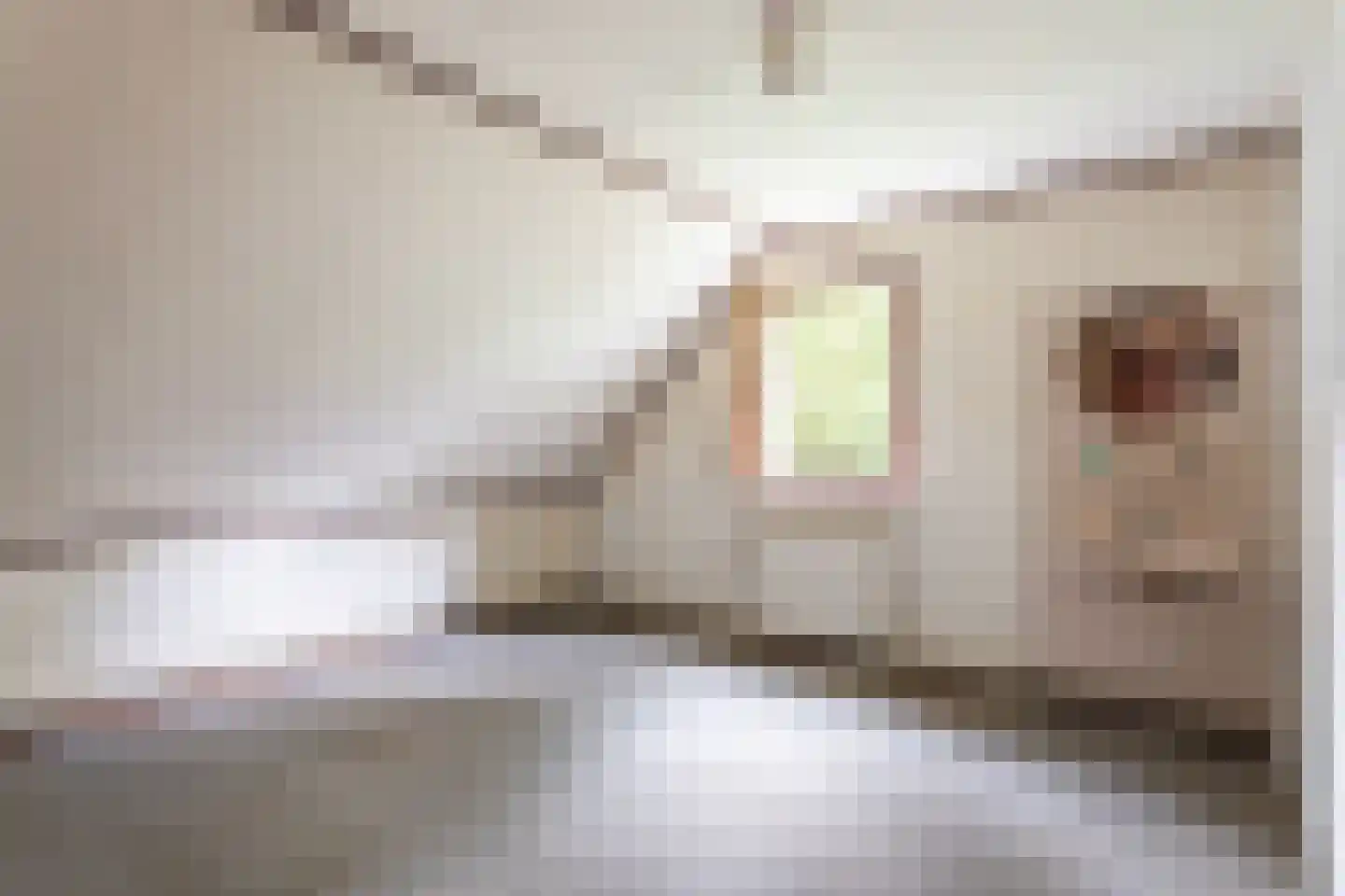 Kampbrugweg 5 Beuningen thumbnail 15