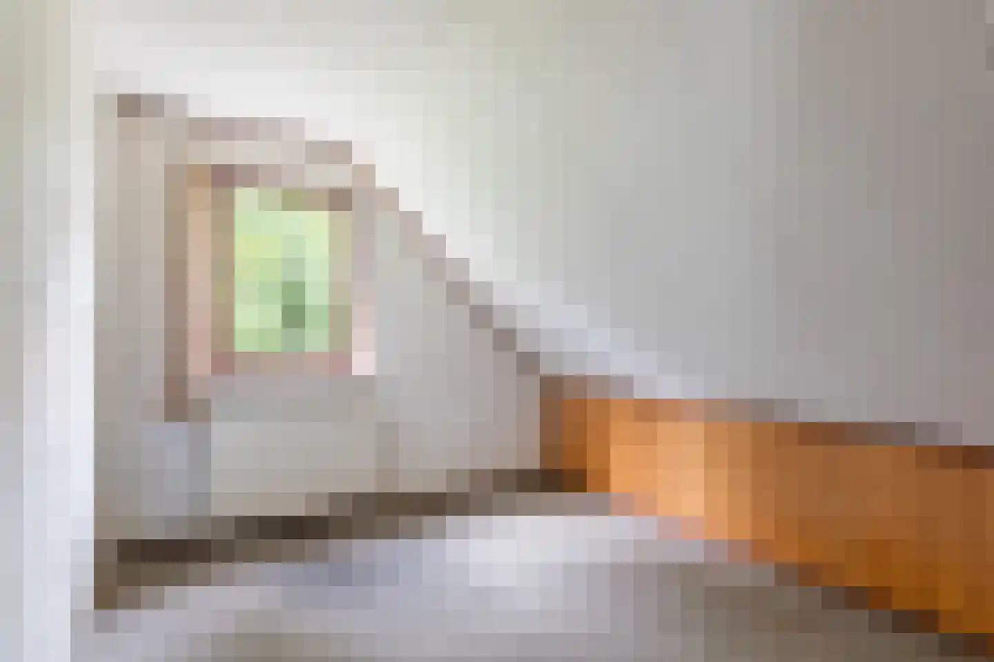 Kampbrugweg 5 Beuningen thumbnail 16