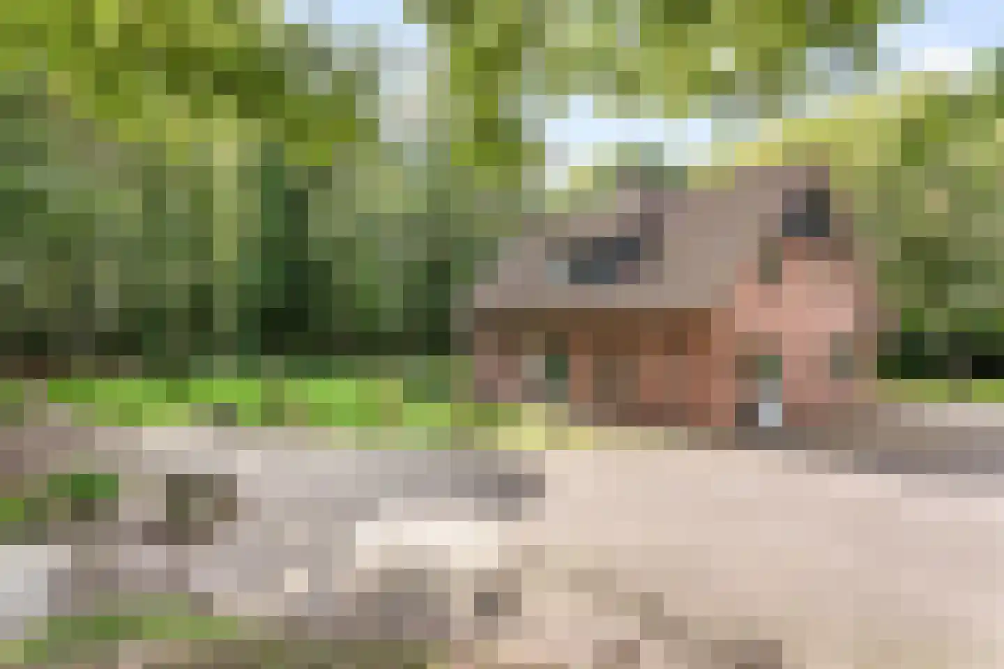 Kampbrugweg 5 Beuningen thumbnail 17