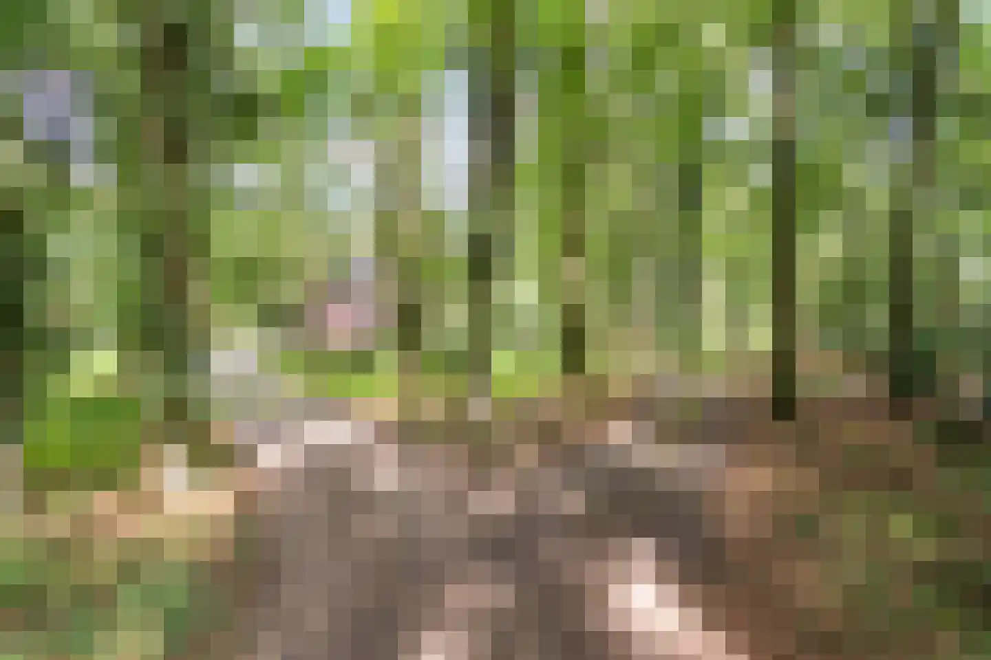 Kampbrugweg 5 Beuningen thumbnail 18