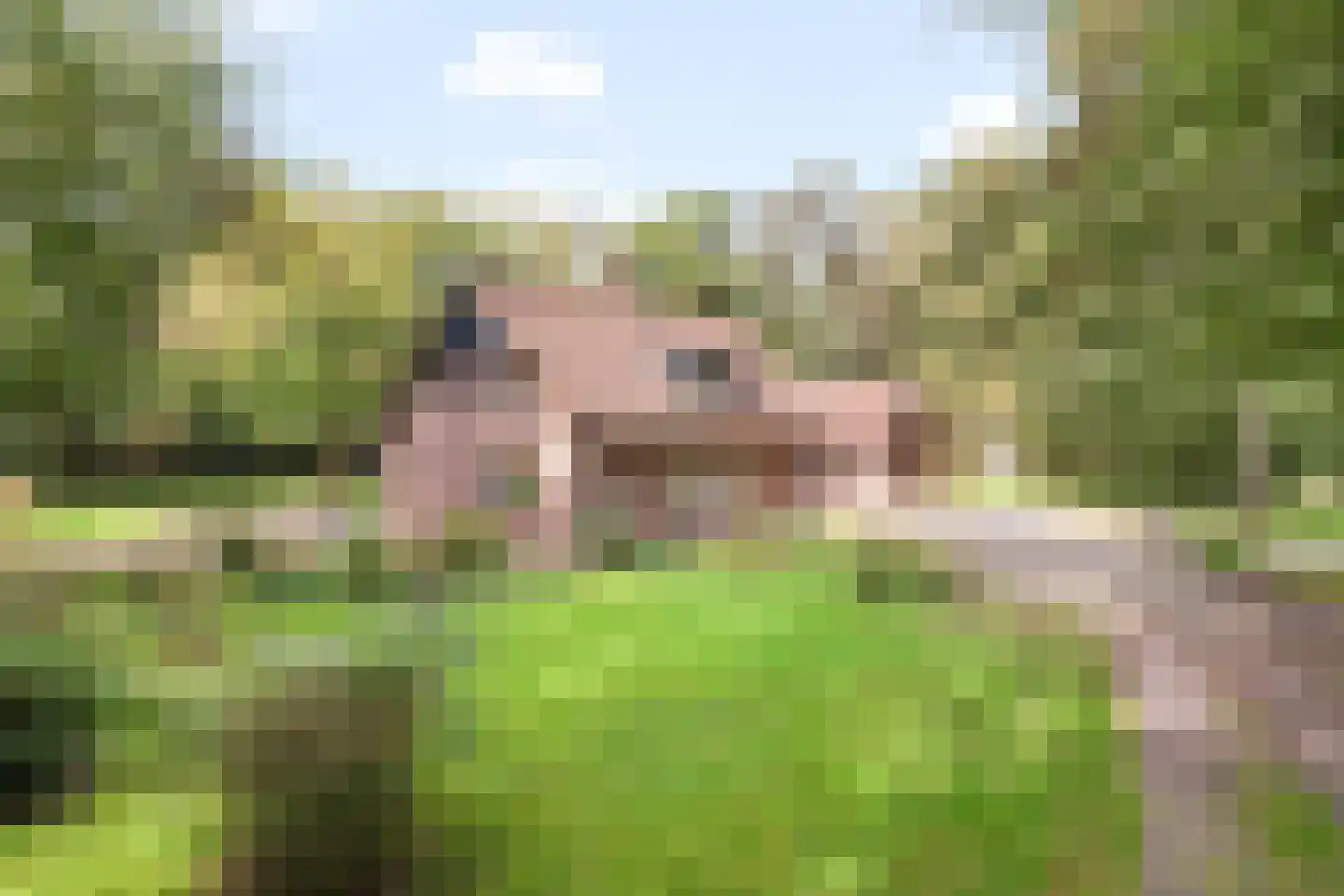 Kampbrugweg 5 Beuningen thumbnail 19