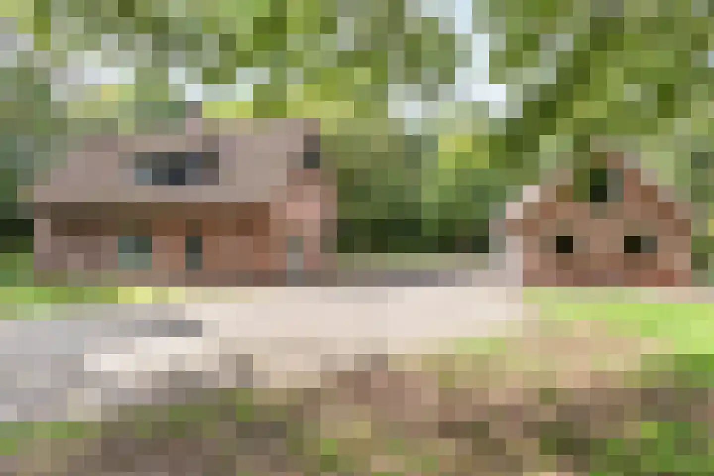 Kampbrugweg 5 Beuningen thumbnail 20