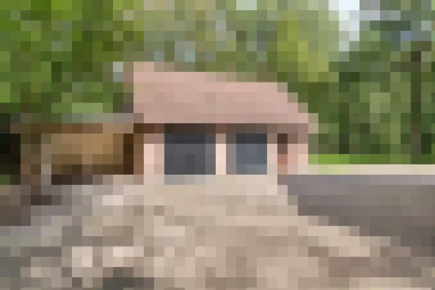 Kampbrugweg 5 Beuningen thumbnail 21