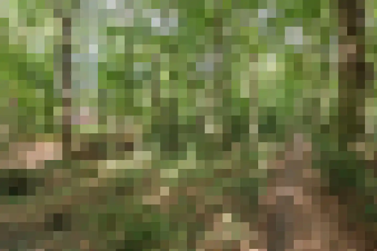 Kampbrugweg 5 Beuningen thumbnail 22
