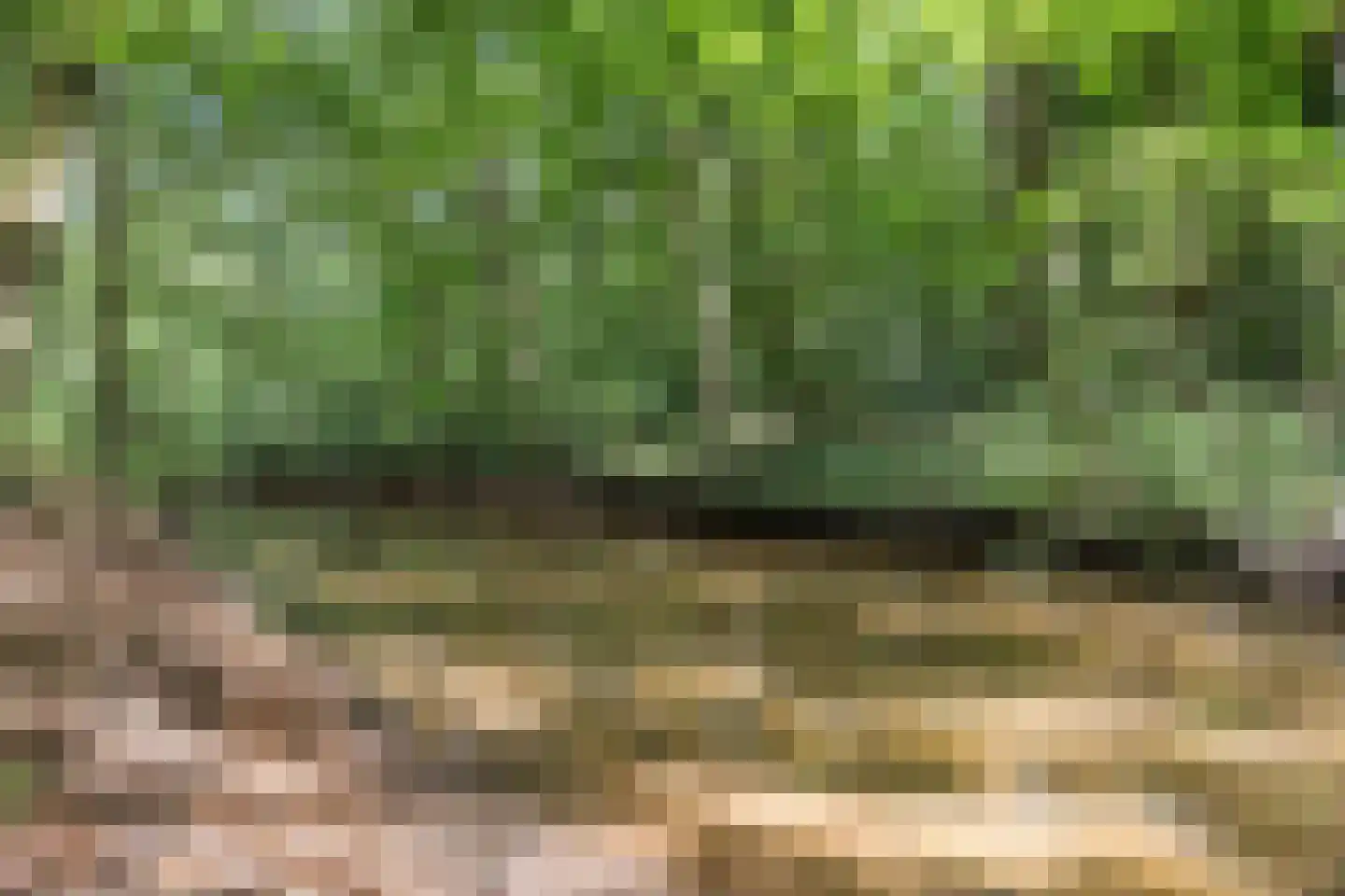 Kampbrugweg 5 Beuningen thumbnail 23