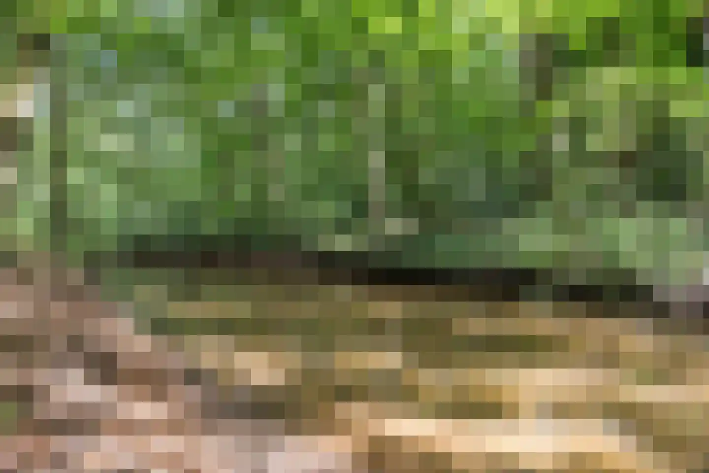 Kampbrugweg 5 Beuningen thumbnail 6