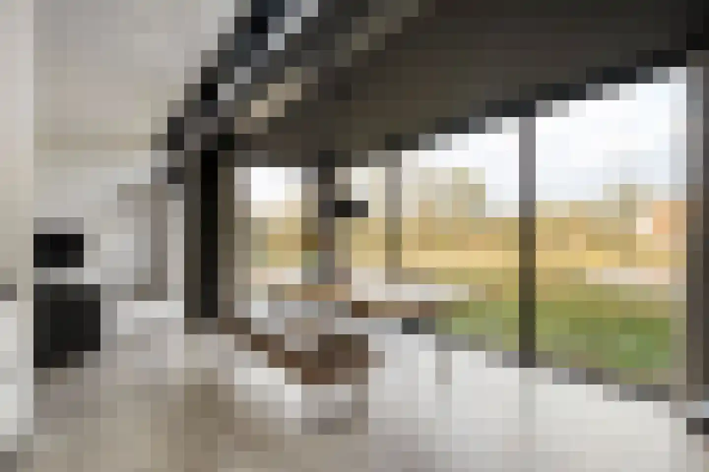 Kampbrugweg 9 A Beuningen thumbnail 11