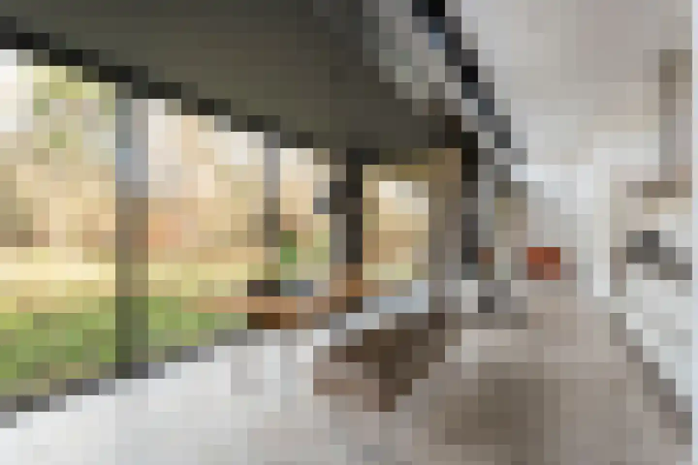 Kampbrugweg 9 A Beuningen thumbnail 13