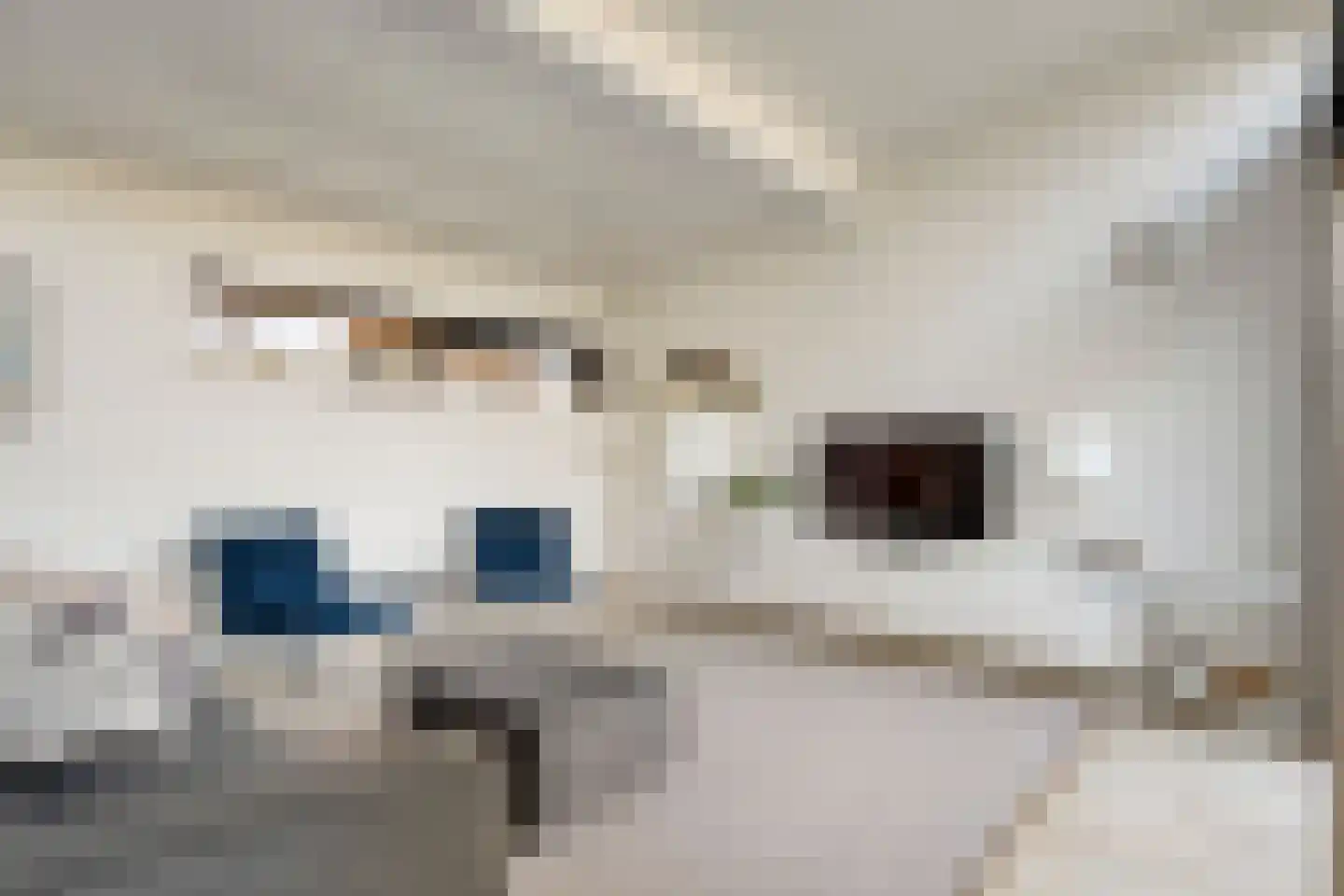 Kampbrugweg 9 A Beuningen thumbnail 6
