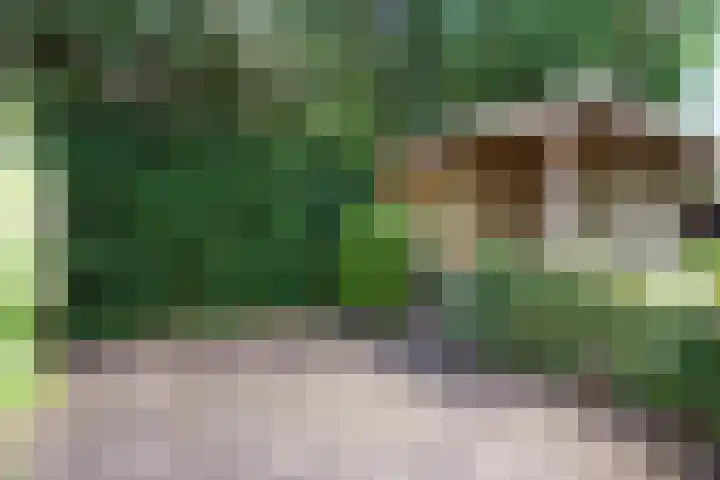 Kampdijklaan 21 Vught thumbnail 22