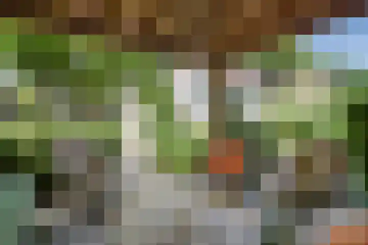 Kampdijklaan 21 Vught thumbnail 24