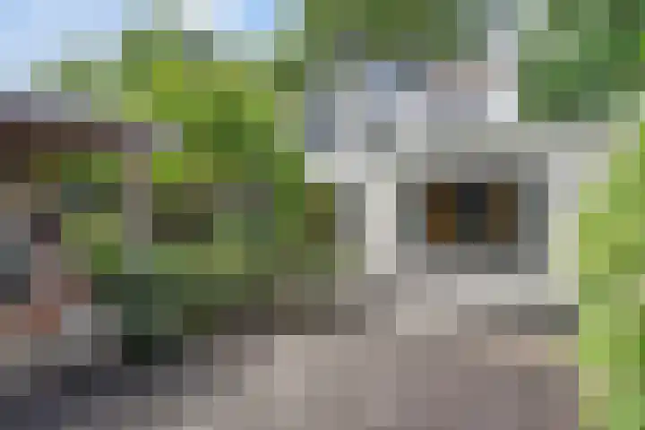 Kampdijklaan 21 Vught thumbnail 25
