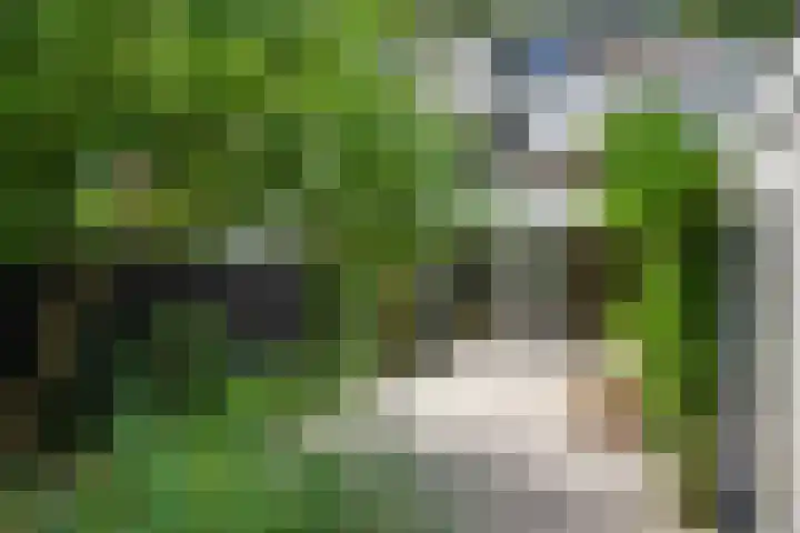 Kampdijklaan 21 Vught thumbnail 27