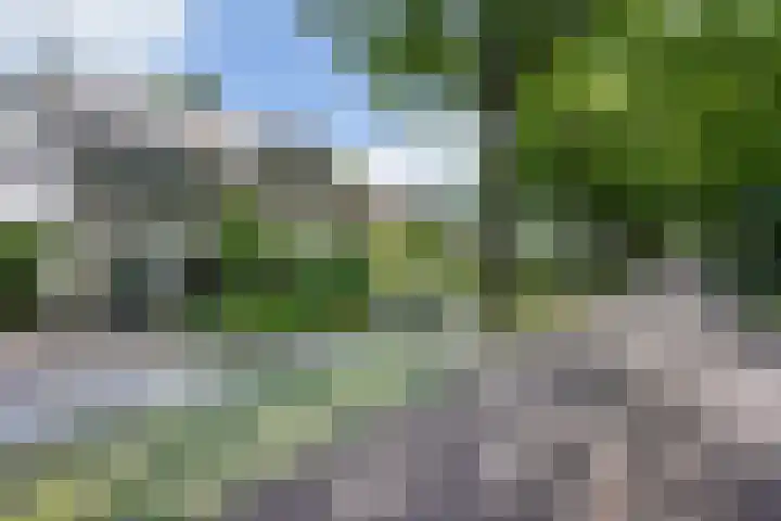 Kampdijklaan 21 Vught thumbnail 54