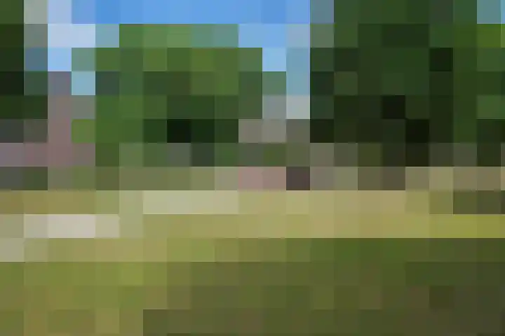 Kampdijklaan 21 Vught thumbnail 58