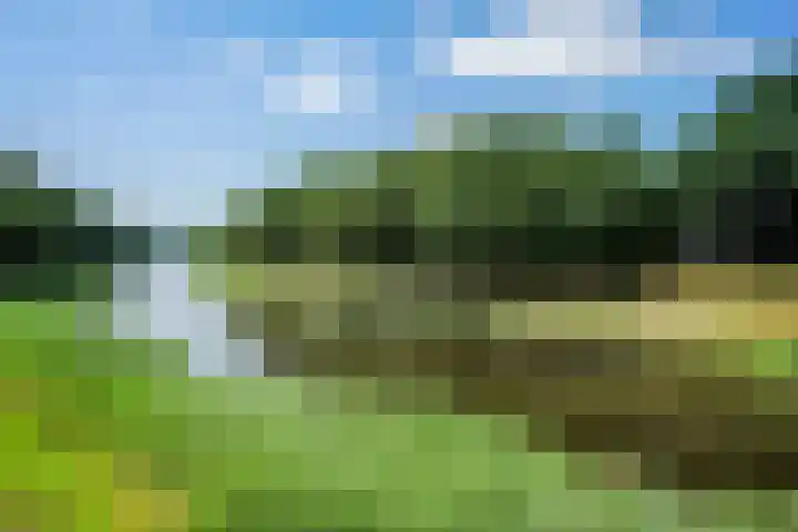 Kampdijklaan 21 Vught thumbnail 61
