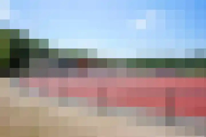 Kampdijklaan 21 Vught thumbnail 63