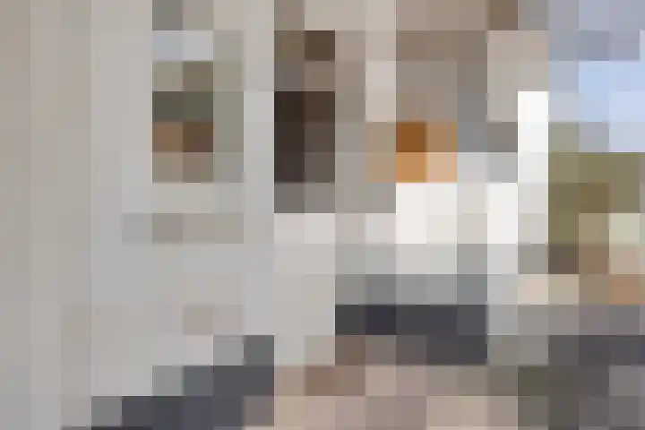 Kampdijklaan 23 Vught thumbnail 31
