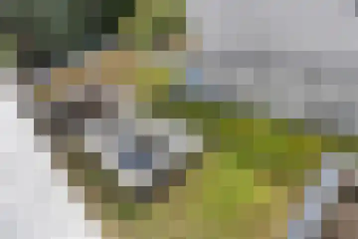 Kampdijklaan 23 Vught thumbnail 33