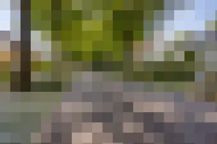Kampdijklaan 23 Vught thumbnail 5