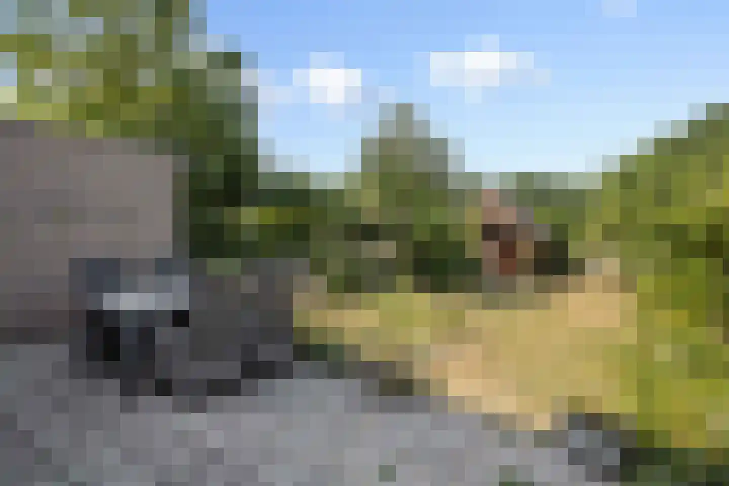Kampdijklaan 46 Vught thumbnail 36