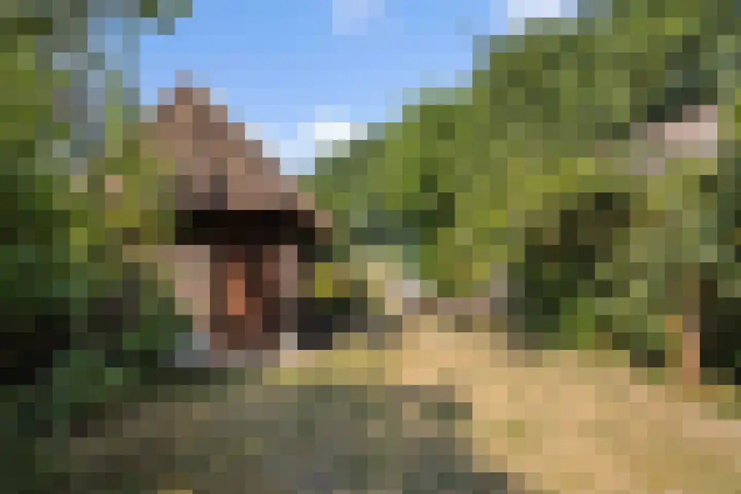 Kampdijklaan 46 Vught thumbnail 38