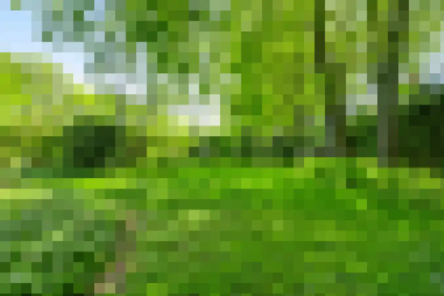 Kampdijklaan 64 Vught thumbnail 57