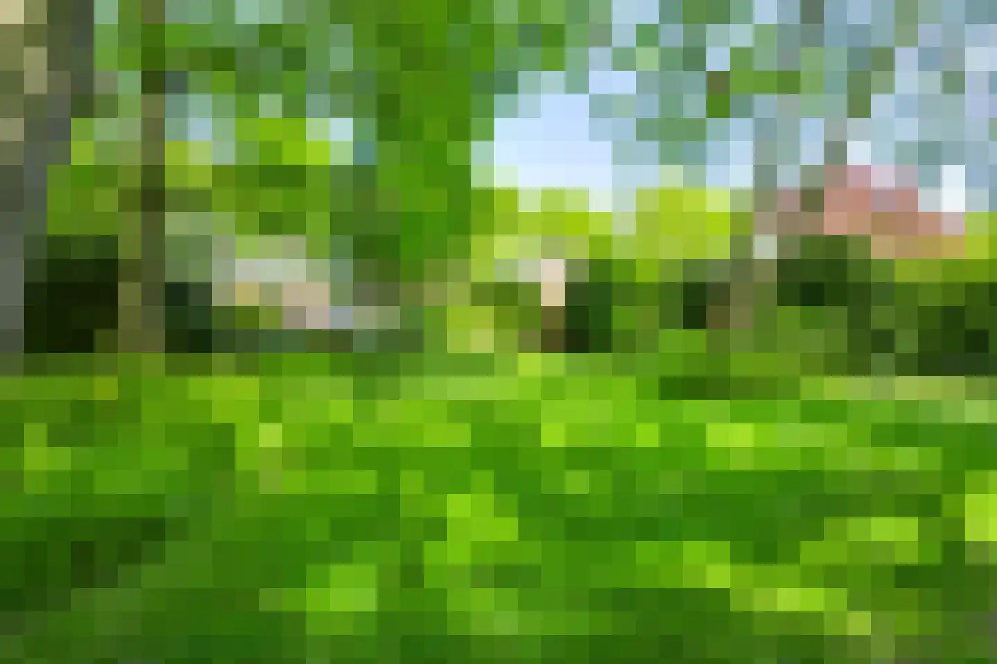 Kampdijklaan 64 Vught thumbnail 58