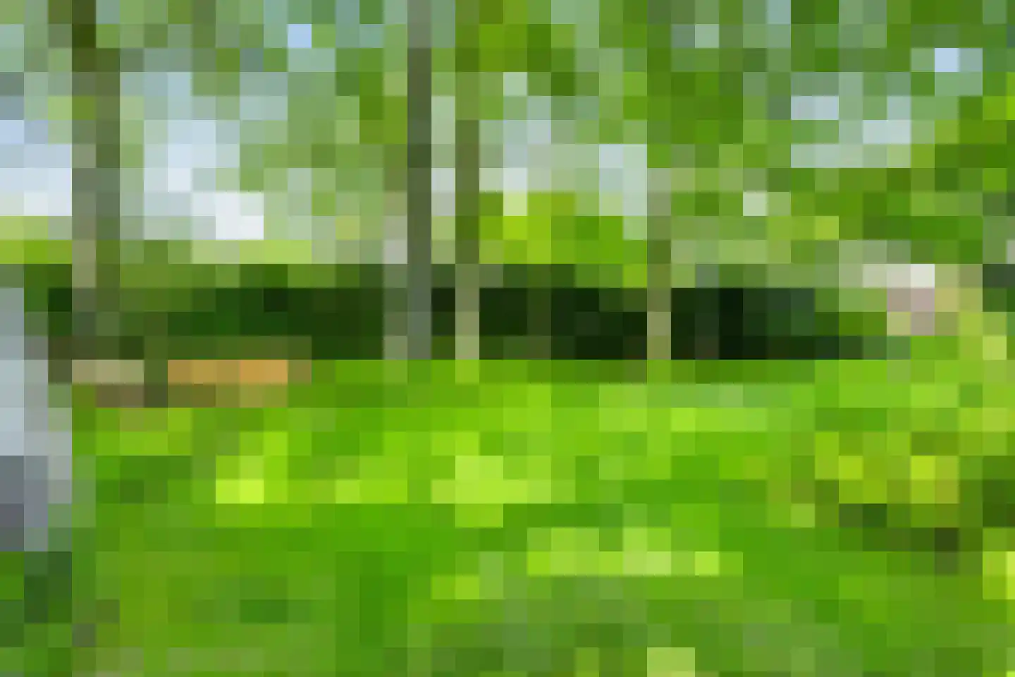 Kampdijklaan 64 Vught thumbnail 59