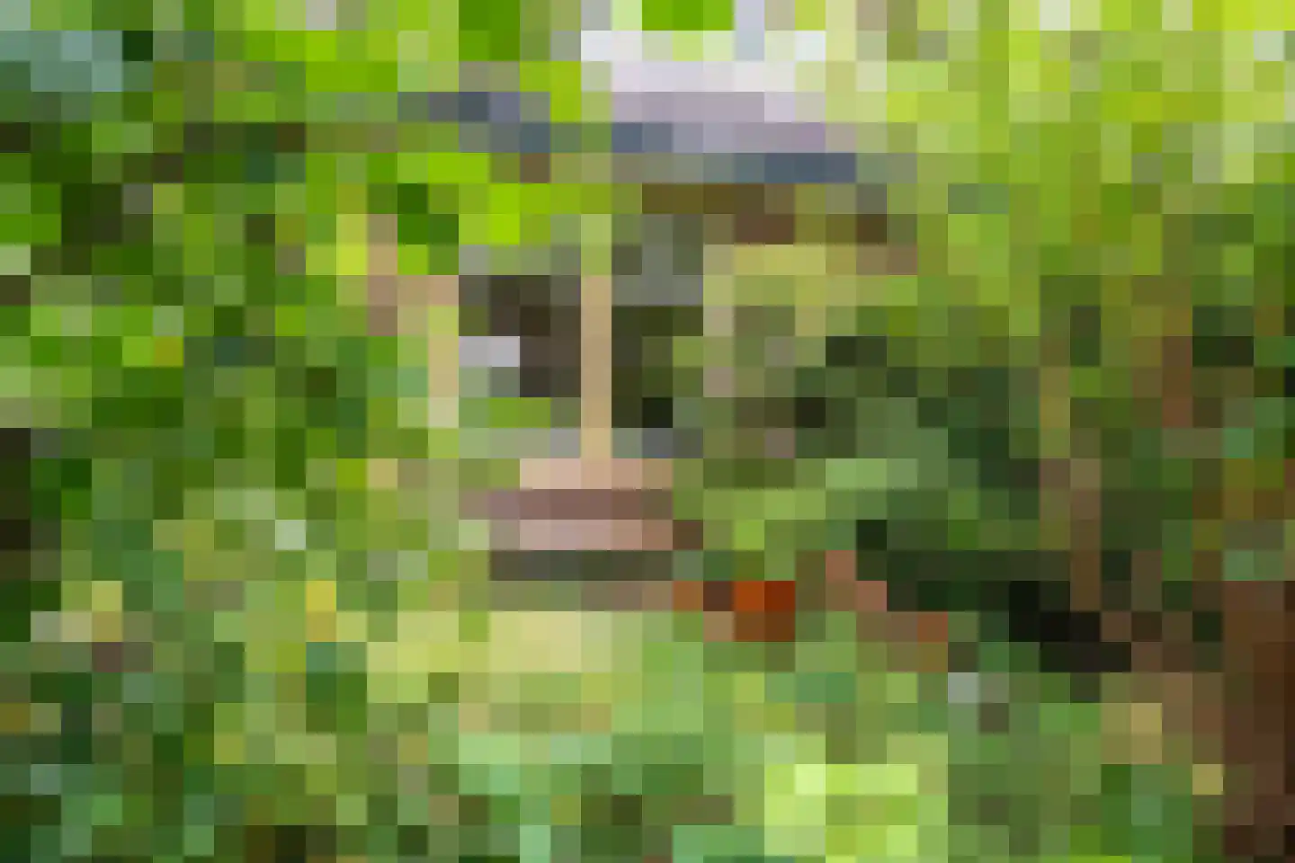 Kampdwarsweg 16 Doorn thumbnail 18