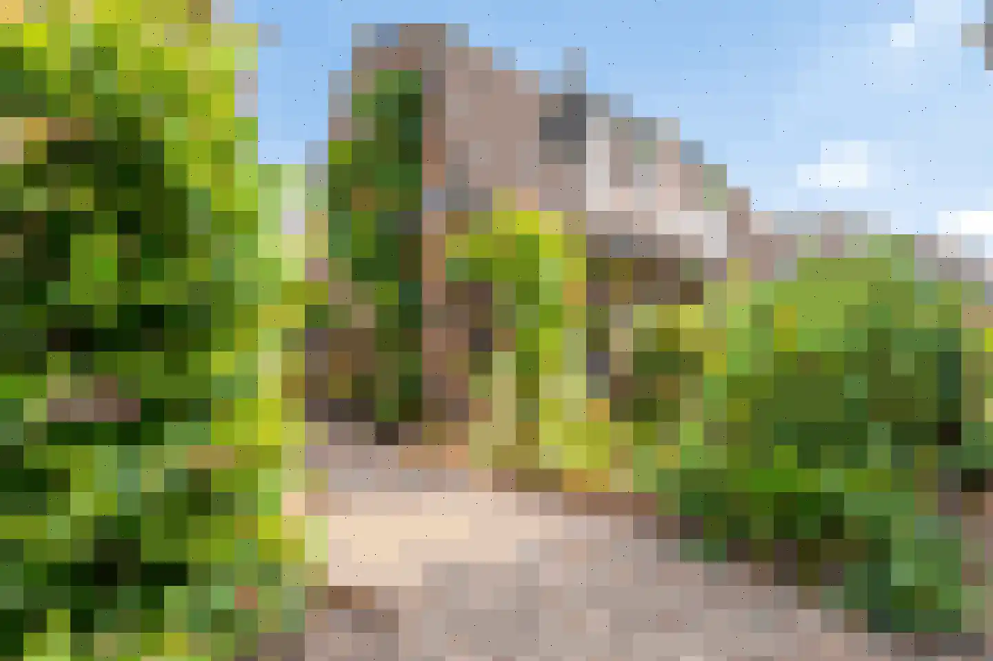 Kampdwarsweg 16 Doorn thumbnail 19