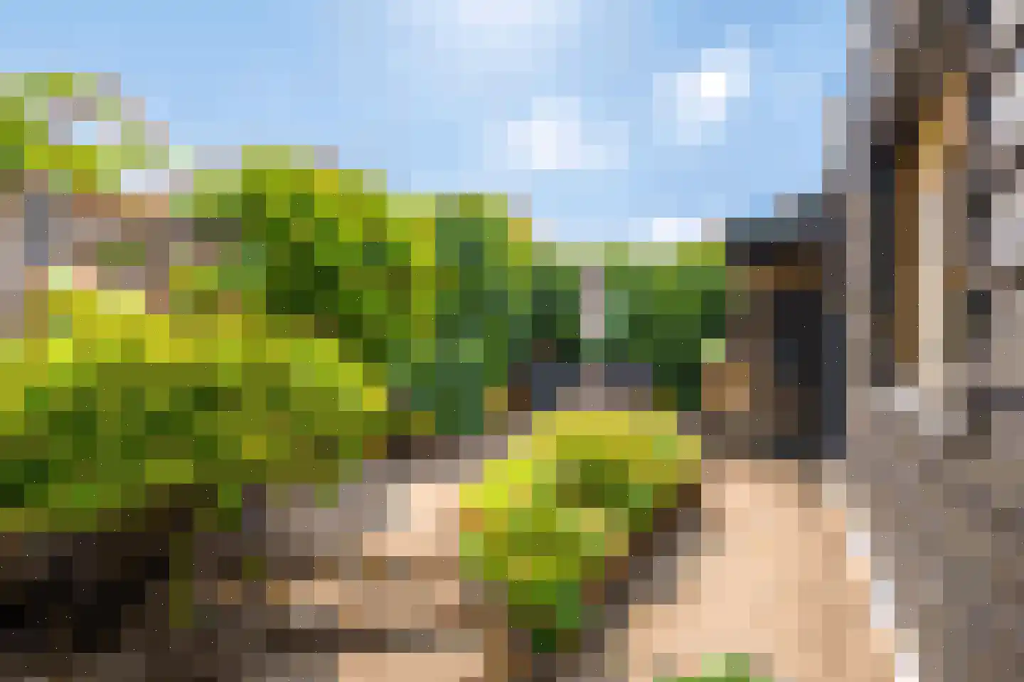 Kampdwarsweg 16 Doorn thumbnail 21